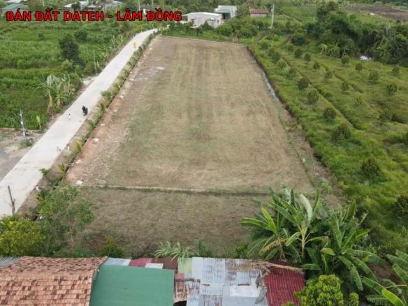 Dateh Lâm Đồng, chỉ 268tr sở hữu ngay lô đất 161m full thổ cư