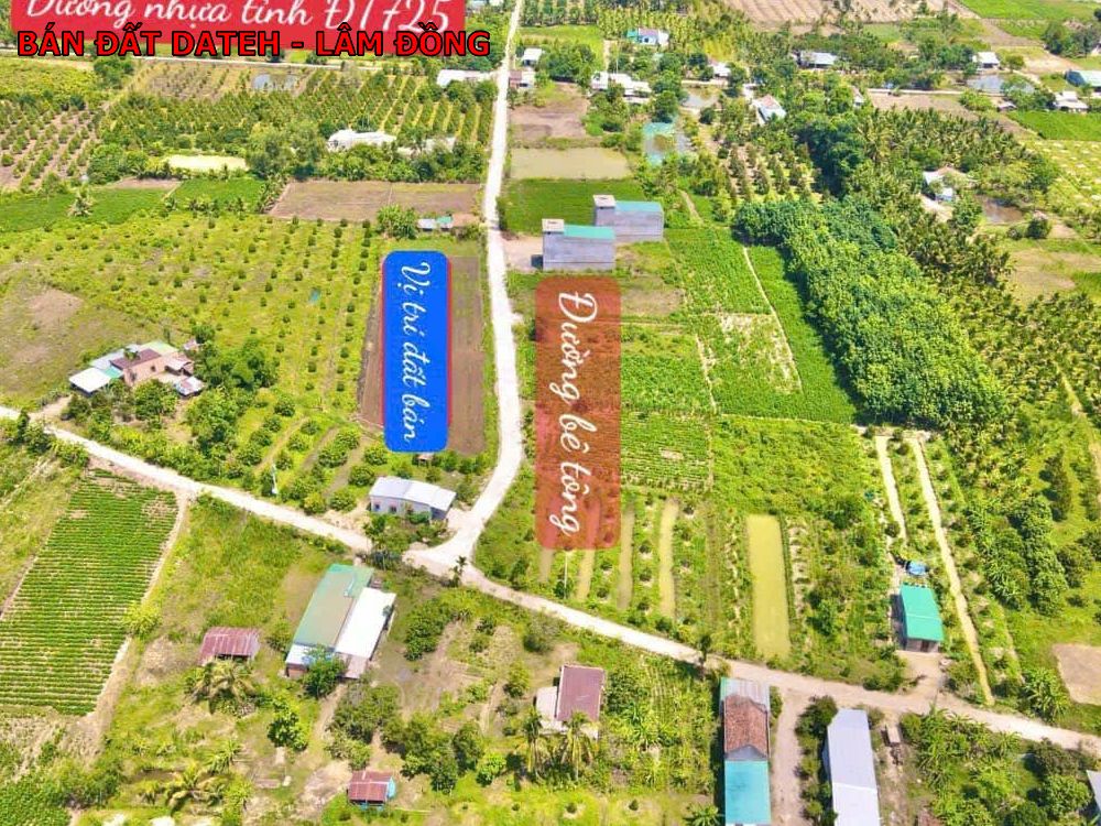 Dateh Lâm Đồng, chỉ 268tr sở hữu ngay lô đất 161m full thổ cư
