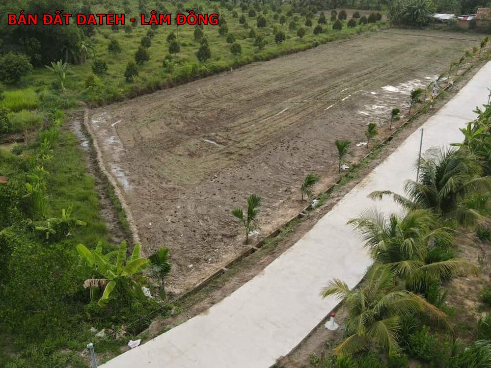 Bán đất giá rẻ tại Dateh – Lâm Đồng