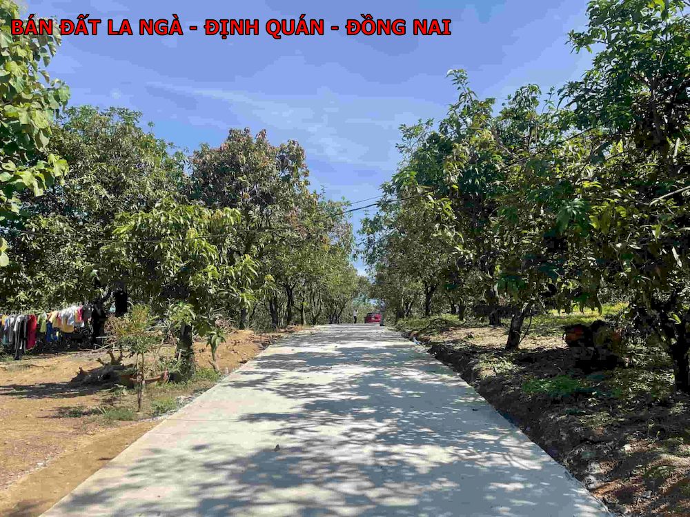 Bán đất vườn La Ngà, Định Quán, gần 1100m2, betong tận nơi, chủ ngộp bán gấp 820tr