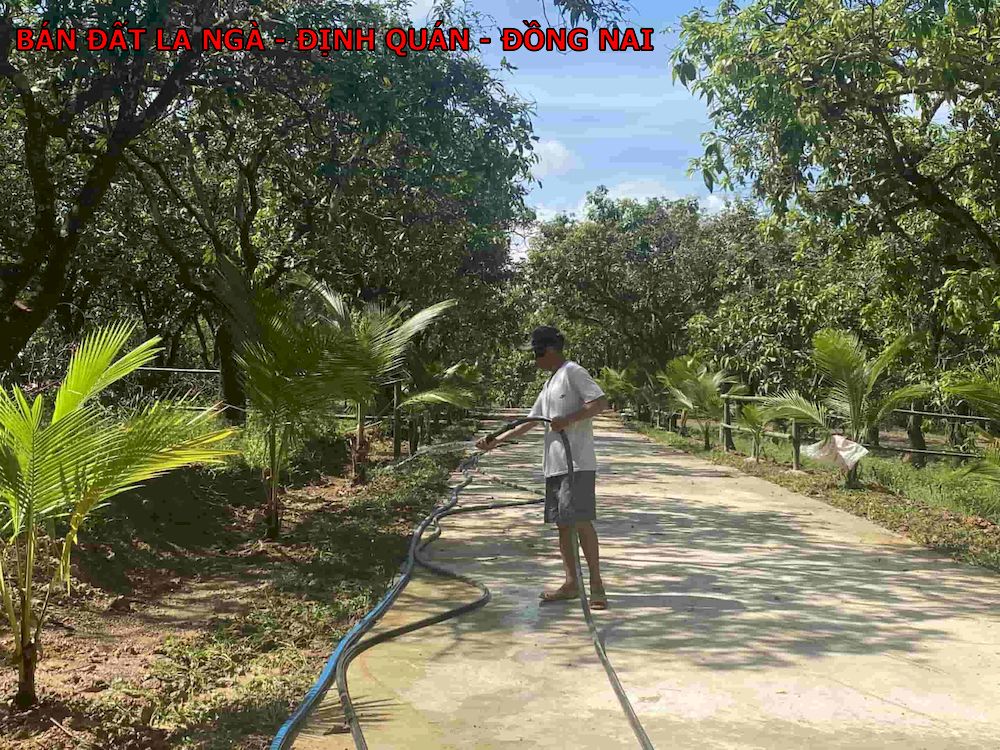 Bán đất vườn La Ngà, Định Quán, gần 1100m2, betong tận nơi, chủ ngộp bán gấp 820tr