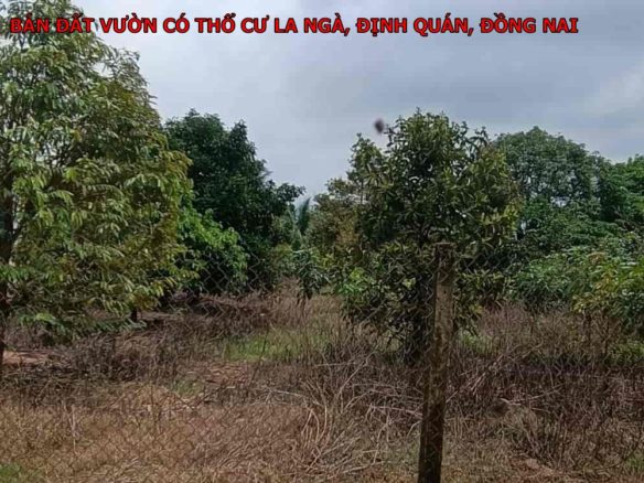 Bán đất vườn có 100m thổ cư tại La Ngà, Định Quán giá rẻ nhất
