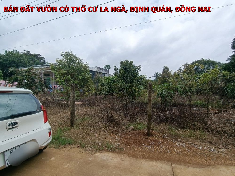 Bán đất vườn có 100m thổ cư tại La Ngà, Định Quán giá rẻ nhất