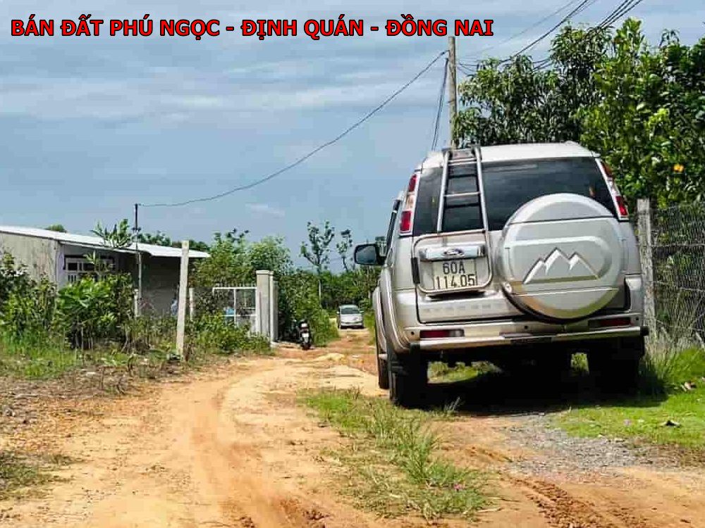 Bán đất Phú Ngọc, Định Quán, Đồng Nai, cách quốc lộ chỉ 900m, tiện ích đầy đủ