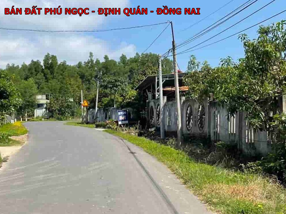 Bán đất Phú Ngọc, Định Quán, Đồng Nai, cách quốc lộ chỉ 900m, tiện ích đầy đủ