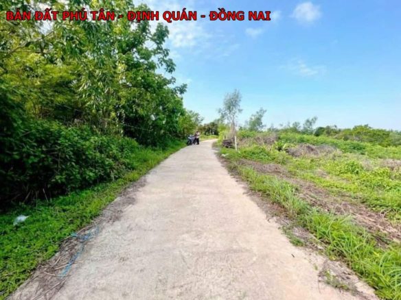 Bán gấp lô đất Phú Tân, Định Quán giá chỉ 520tr
