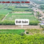 Bán đất Tân Châu, Tây Ninh giá chỉ 239tr, 15 nền full thổ cư