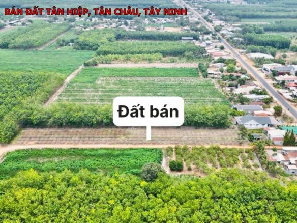 Bán đất Tân Châu, Tây Ninh giá chỉ 239tr, 15 nền full thổ cư