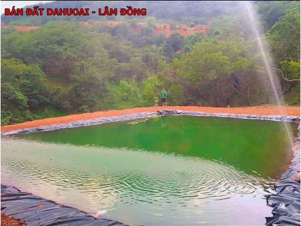 Bán đất view đồi siêu đẹp tại Đạ Huoai, Lâm Đồng