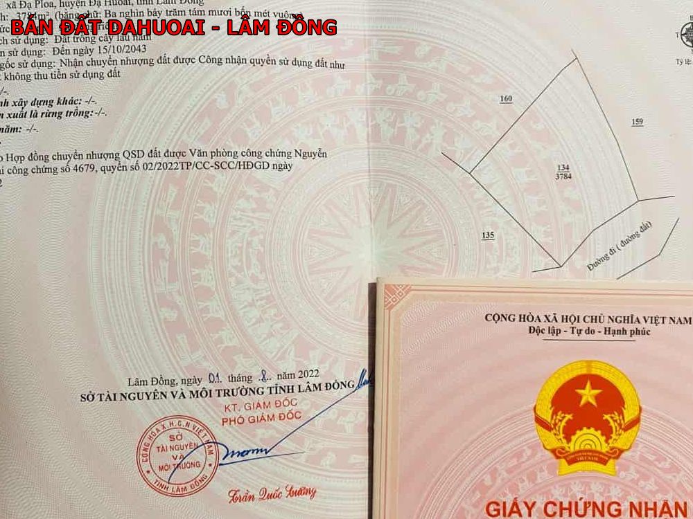 Bán đất view đồi siêu đẹp tại Đạ Huoai, Lâm Đồng