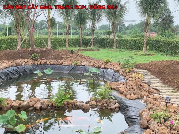 Bán nhà vườn tại Cây Gáo, Trảng Bom, Đồng Nai, 2 mặt tiền đường đẹp