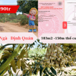 Đất thổ cư La Ngà - Định Quán giá chỉ 590tr/ lô full thổ cư