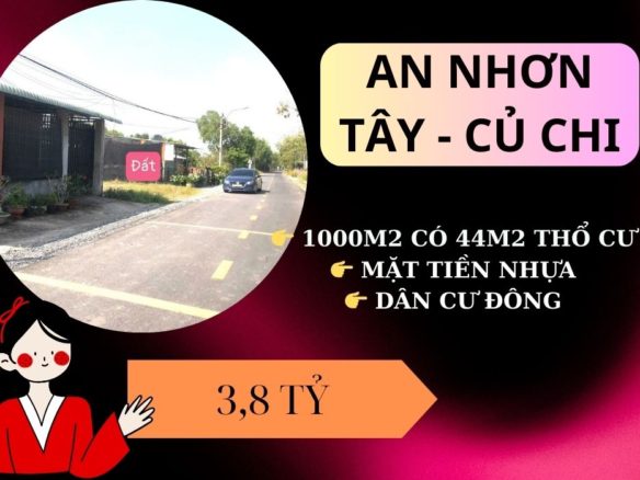 Đất mặt tiền nhựa An Nhơn Tây – Củ Chi 1000m2 giá chỉ 3,8 ỷ