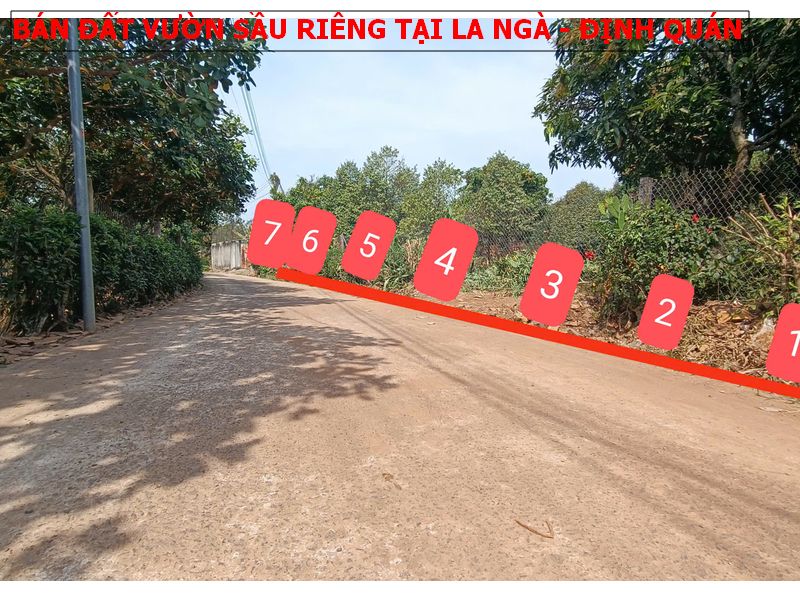 Chỉ 580tr sở hữu ngay vườn sầu riêng tại La Ngà – Định Quán