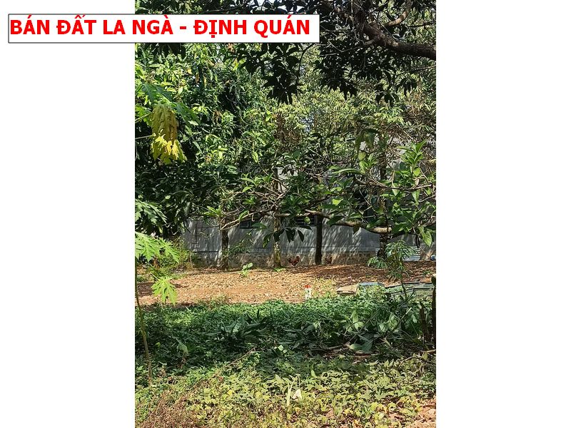 Bán đất La Ngà – Định Quán, chỉ 600tr