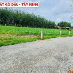 Bán đất Gò Dầu - Tây Ninh, sát KCN Hiệp Thạnh