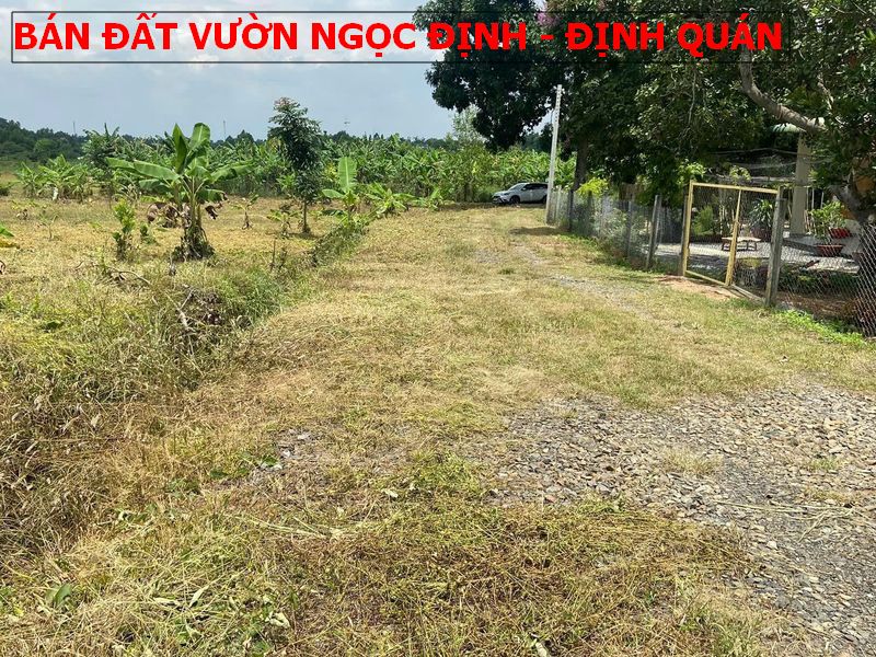 Bán đất vườn tại Ngọc Định – Định Quán, 9 sào đã tách 9 sổ, chỉ 5xxtr/ lô