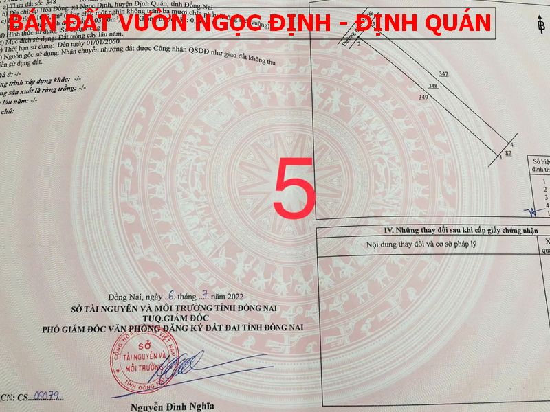 Bán đất vườn tại Ngọc Định – Định Quán, 9 sào đã tách 9 sổ, chỉ 5xxtr/ lô