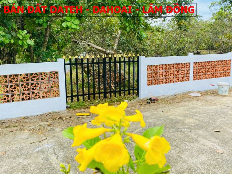 Bán đất Mỹ Đức – Dateh – Lâm Đồng sổ sẵn giá chỉ 270tr