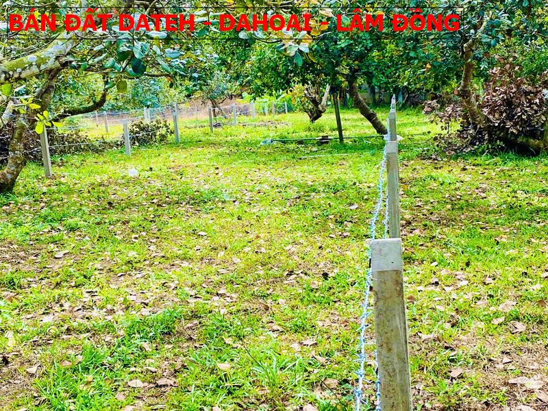 Bán đất Mỹ Đức – Dateh – Lâm Đồng sổ sẵn giá chỉ 270tr