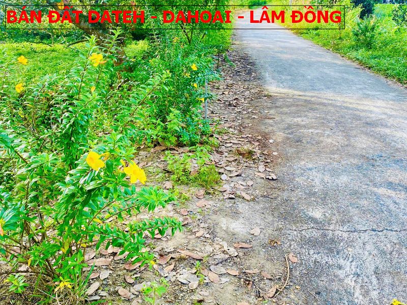 Bán đất Mỹ Đức – Dateh – Lâm Đồng sổ sẵn giá chỉ 270tr