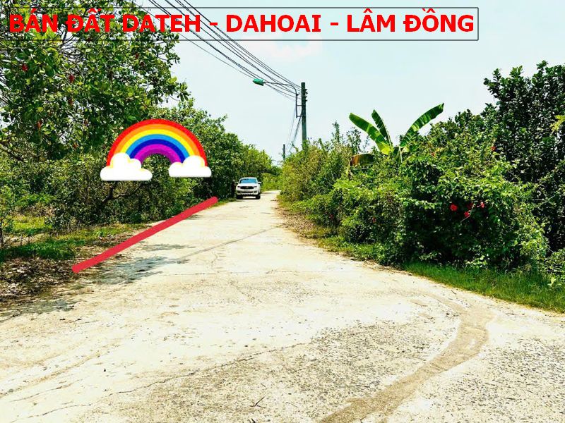 Bán đất Mỹ Đức – Dateh – Lâm Đồng sổ sẵn giá chỉ 270tr
