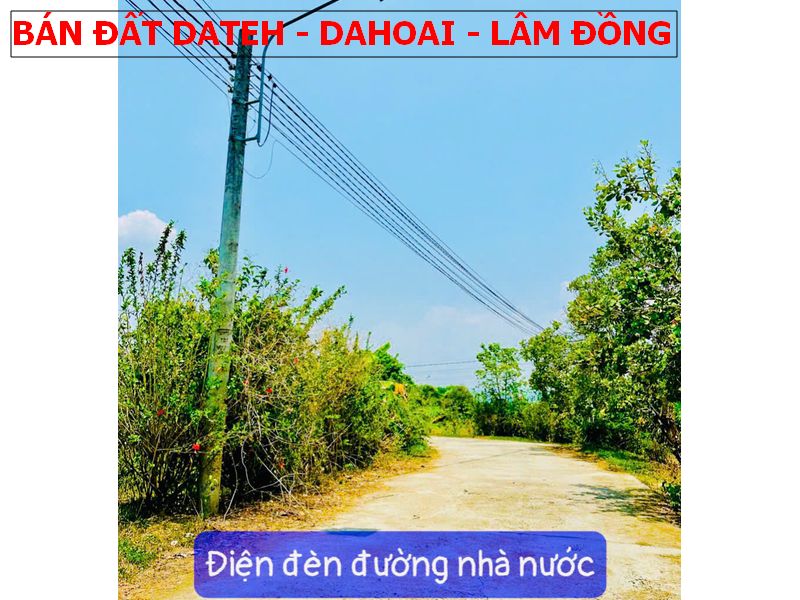Bán đất Mỹ Đức – Dateh – Lâm Đồng sổ sẵn giá chỉ 270tr