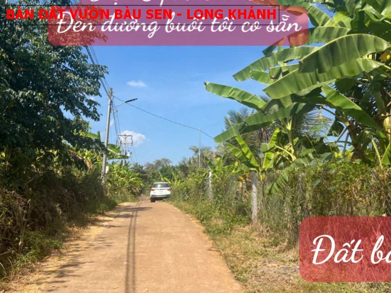 Bán đất vườn tại Bàu Sen, Long Khánh giá tốt nhất 1,45 tỷ/1487m2