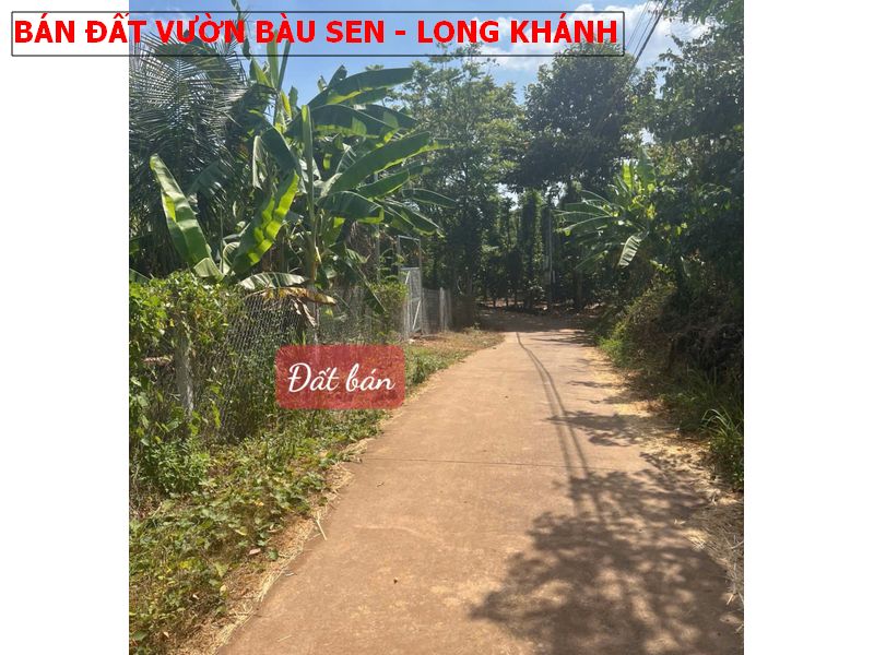 Bán đất vườn tại Bàu Sen, Long Khánh giá tốt nhất 1,45 tỷ/1487m2