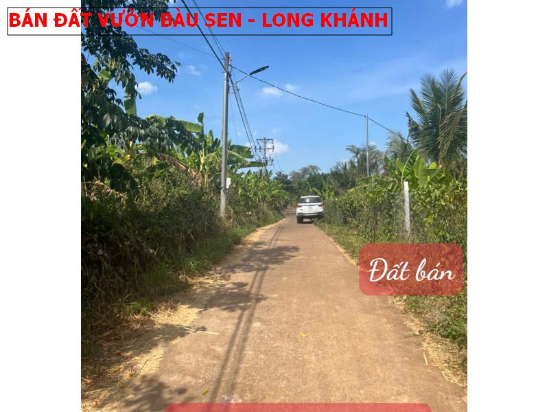 Bán đất vườn tại Bàu Sen, Long Khánh giá tốt nhất 1,45 tỷ/1487m2