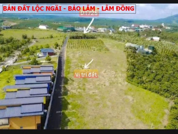 Bán đất giá rẻ Bảo Lâm, Lâm Đông – lô đất bán lỗ giá cực tốt