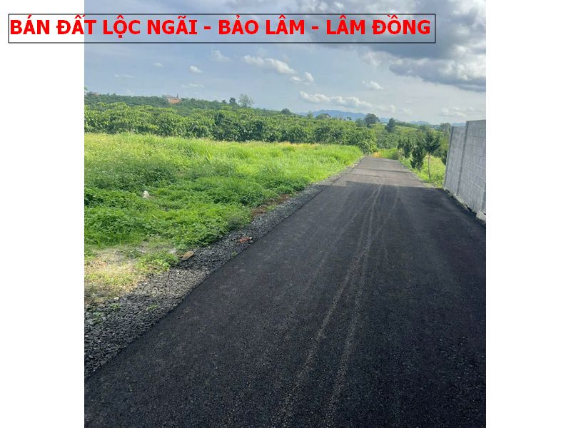 Bán đất giá rẻ Bảo Lâm, Lâm Đông – lô đất bán lỗ giá cực tốt