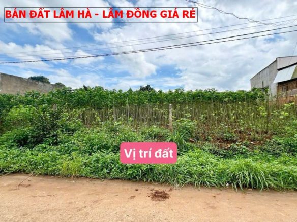 Bán đất ngay Thị Trấn Nam Ban, Lâm Hà,Lâm Đồng giá rẻ