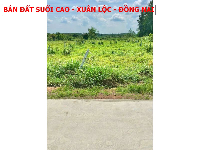Bán đất vườn có thổ cư ngay Suối Cao, Xuân Lộc, Đồng Nai