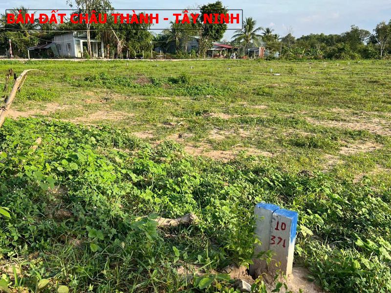 Bán đất Châu Thành – Tây Ninh, mặt tiền nhựa giá chỉ 250tr
