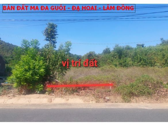 Bán đất mặt tiền Nhựa ngay thị trấn Ma Đa Guôi, Đạ Hoai, Lâm Đồng