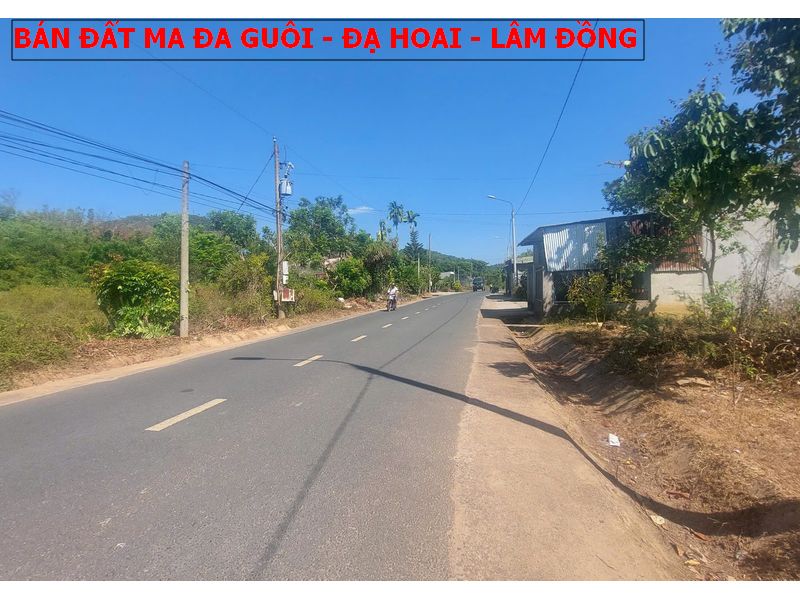 Bán đất mặt tiền Nhựa ngay thị trấn Ma Đa Guôi, Đạ Hoai, Lâm Đồng