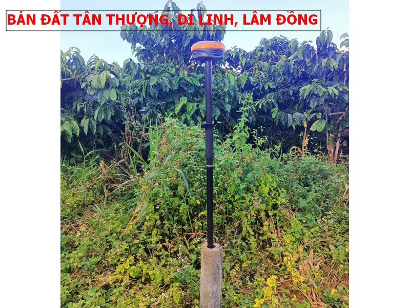 Bán đất Di Linh, Lâm Đồng giá chỉ 499tr