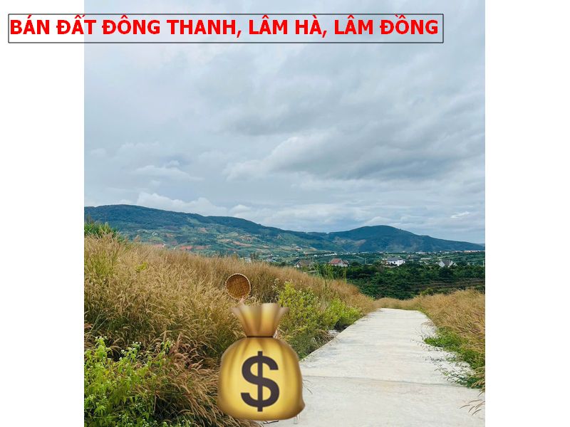 Bán đất nghỉ dưỡng tại Đông Thanh, Lâm Hà, Lâm Đồng