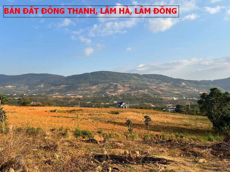 Bán đất nghỉ dưỡng tại Đông Thanh, Lâm Hà, Lâm Đồng