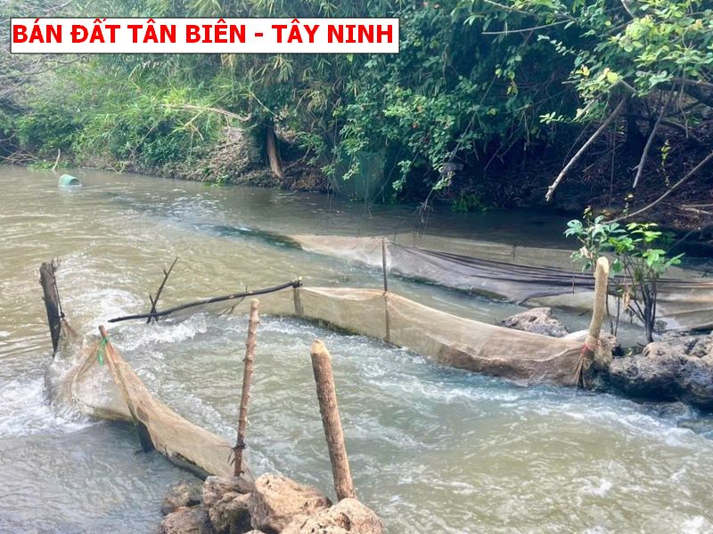 Đất vườn Tây Ninh giáp suối, giá chỉ 179tr