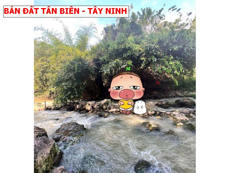 Đất vườn Tây Ninh giáp suối, giá chỉ 179tr