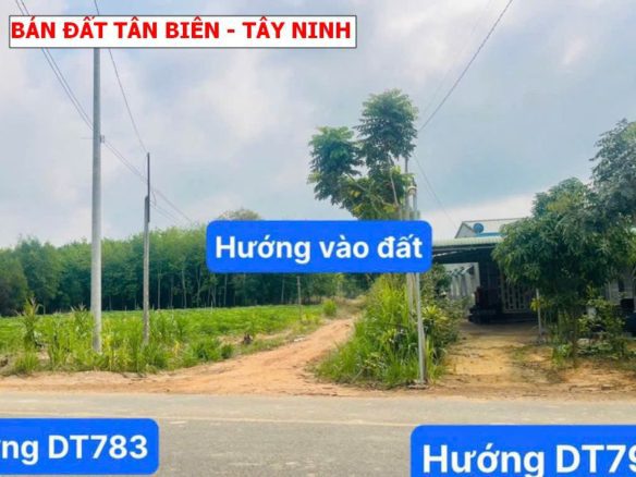 Đất vườn Tây Ninh giáp suối, giá chỉ 179tr