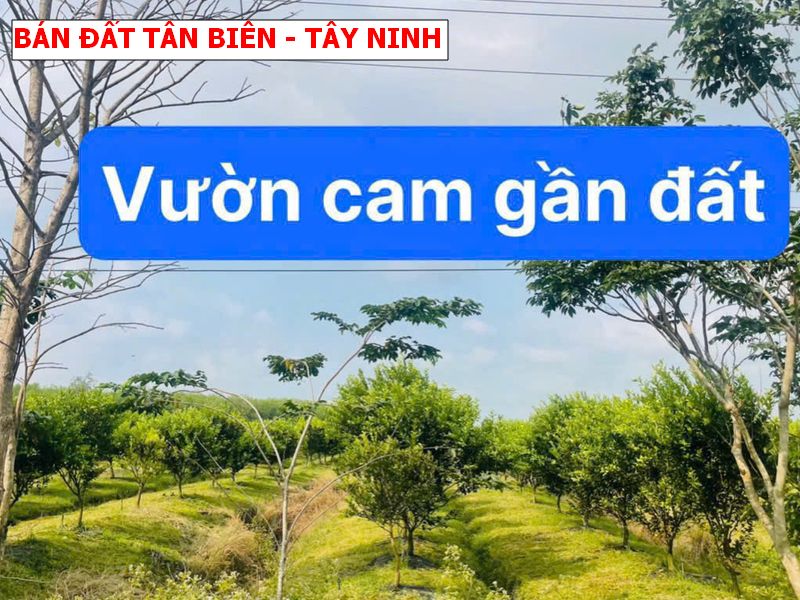 Đất vườn Tây Ninh giáp suối, giá chỉ 179tr