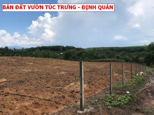 Túc Trưng – Định Quán – Đồng Nai. hơn 1000m2 giá chỉ 499tr bao sổ