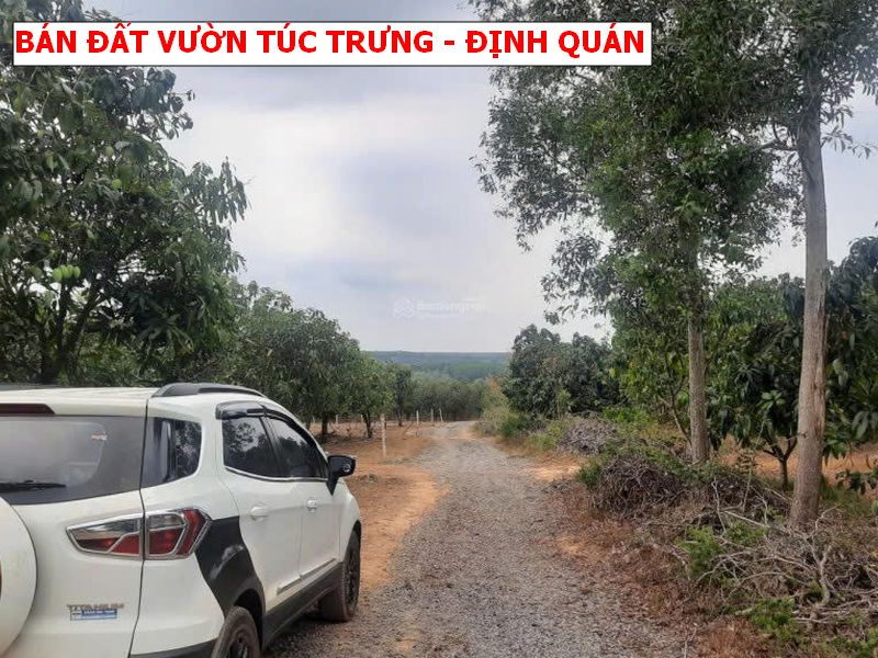 Bán Đất vườn Định Quán – Đồng Nai giá chỉ 500tr