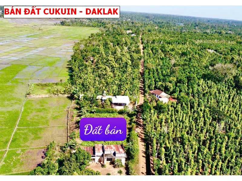 Bán đất Cư kuin – Daklak giá chỉ 150tr có thổ cư