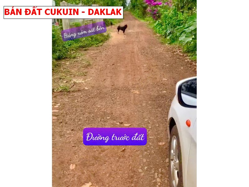 Bán đất Cư kuin – Daklak giá chỉ 150tr có thổ cư