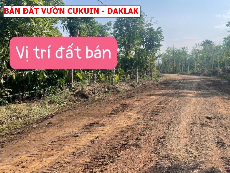 Bán đất vườn Cukuin – Daklak giá chỉ 259tr