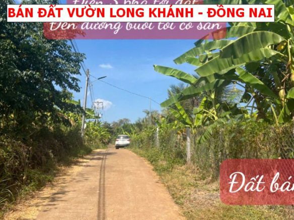 Bàu Sen Long Khánh- giá siêu tốt- 1400m2 full hồng giá 1,4 tỷ